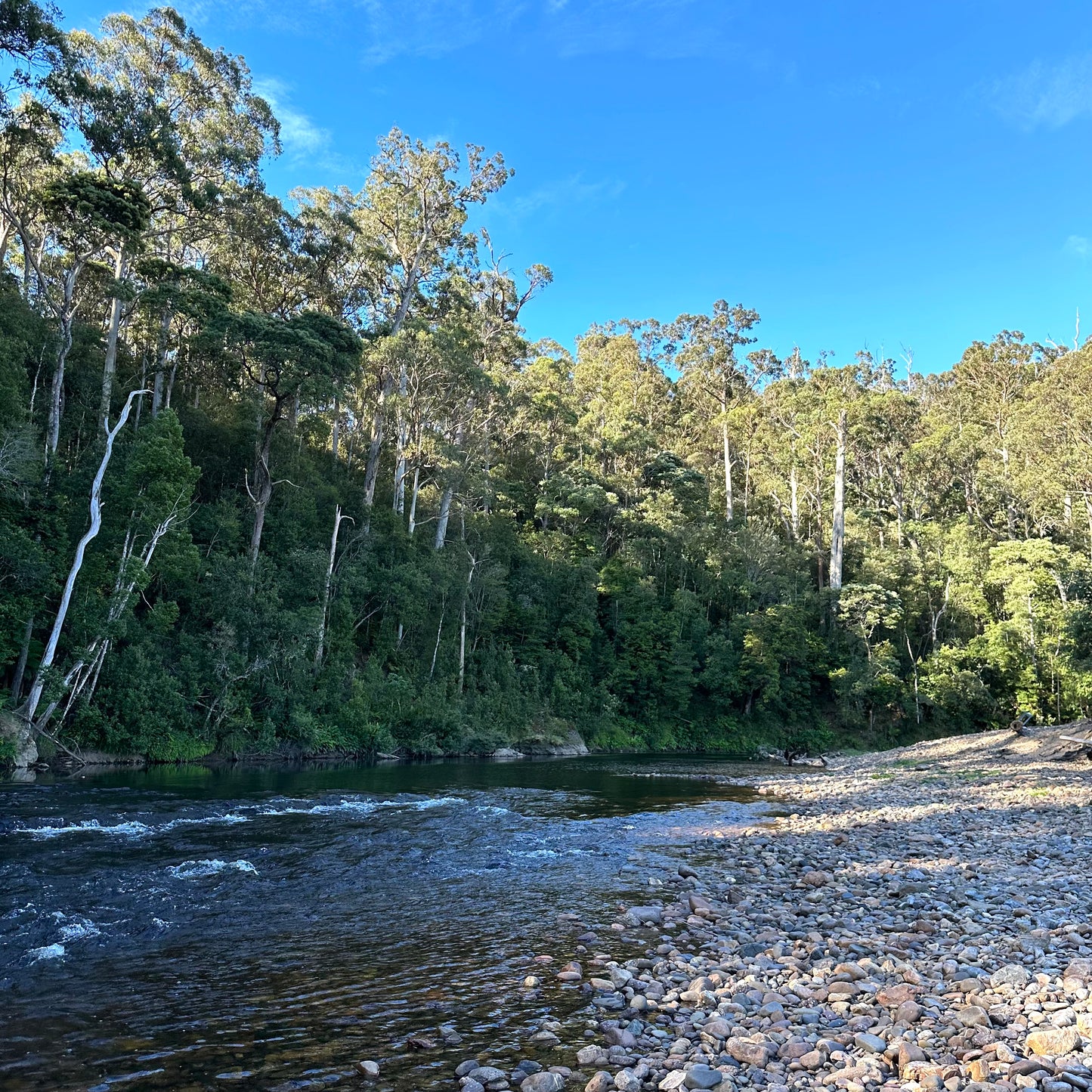 River Leven, NW Tas